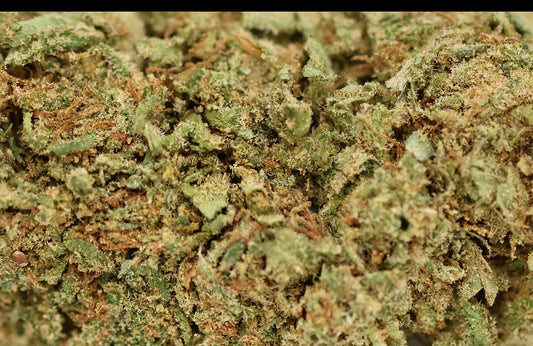 Super Special Sauce Big 19% CBD - Indoor