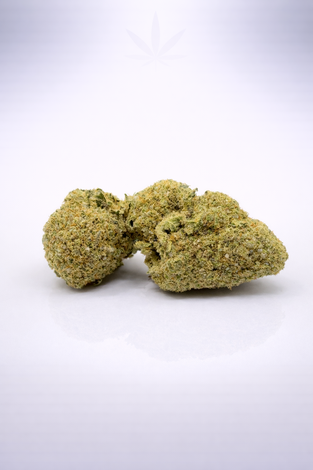 Jack Herer 18% CBD - Indoor