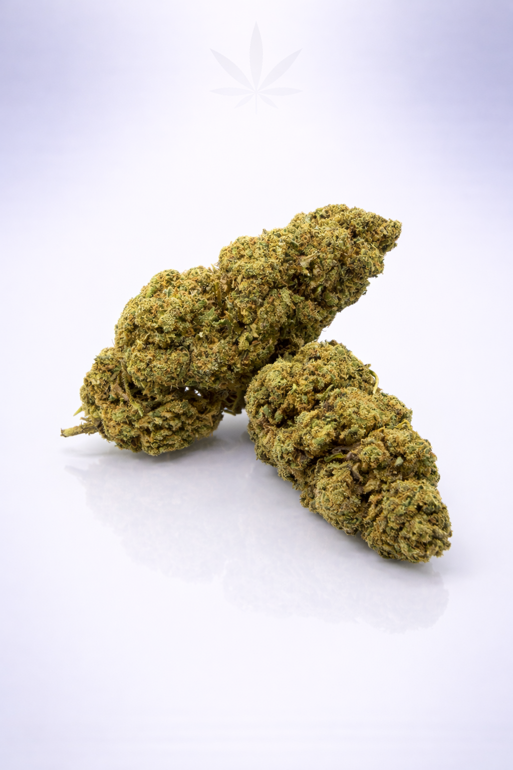 Lemon Tonic Big 23% CBD Pas Cher  - Glasshouse