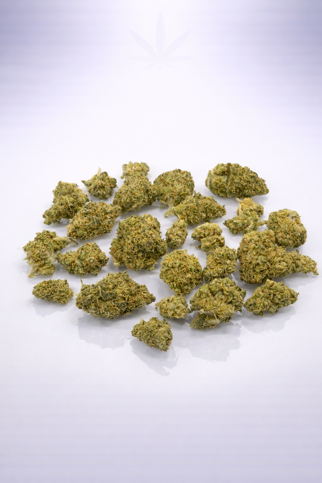 Malabar Small Bud 17% CBD - Glasshouse Indoor PROMO