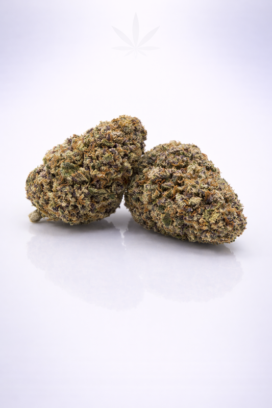 Pink Lady 13% CBD - Glasshouse