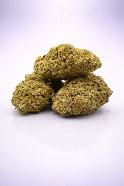 Tutti Fruity 16% CBD - Indoor