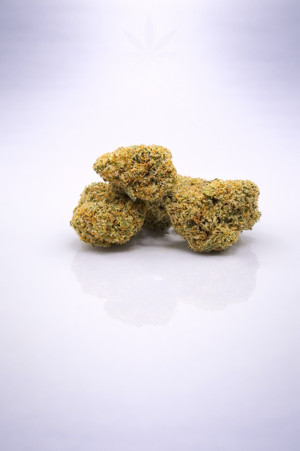 Dos Di Dos Small Bud 16% CBD - Glasshouse