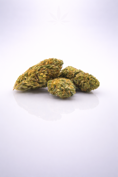Mango Kush 20% HE - Indoor