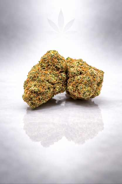 Sunset Sherbet 16% CBD - Indoor